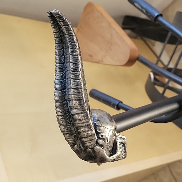 Cane walker - Picture 6 of 13